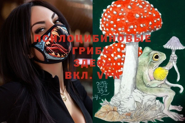 таблы Алексин