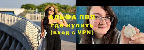 стаф Абинск