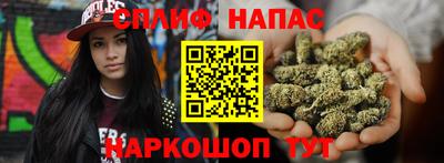 сатива Апшеронск