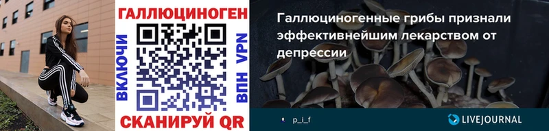 Псилоцибиновые грибы GOLDEN TEACHER  kraken как войти  Белореченск 