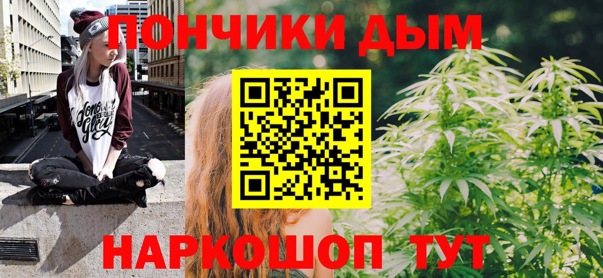 Шишки марихуана марихуана Белореченск